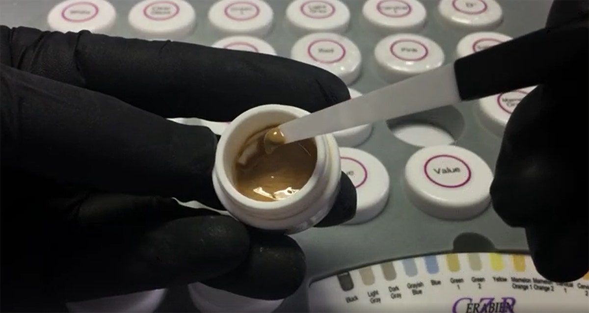 The liquid layer on top of FC Paste stain