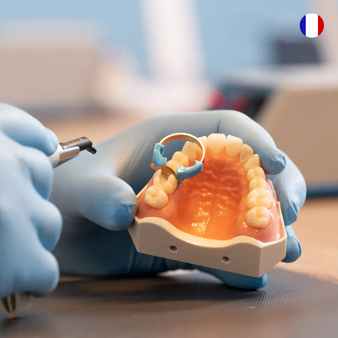 ATELIER AVEC COMPOSITE