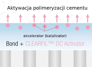 Ryc. 2. Akceleracja polimeryzacji<br>na drodze chemicznej