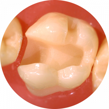 Rândul 1 fig. 2