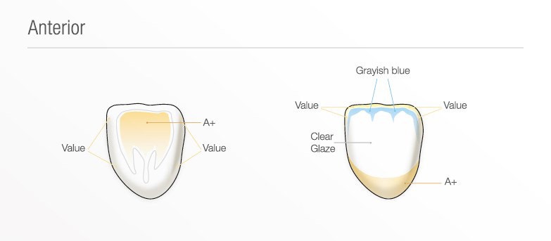 Εικόνα προσθίων