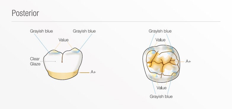 Εικόνα οπισθίων