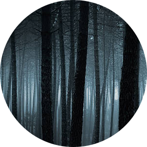 VERY DARK TEETH (веома тамни зуби)