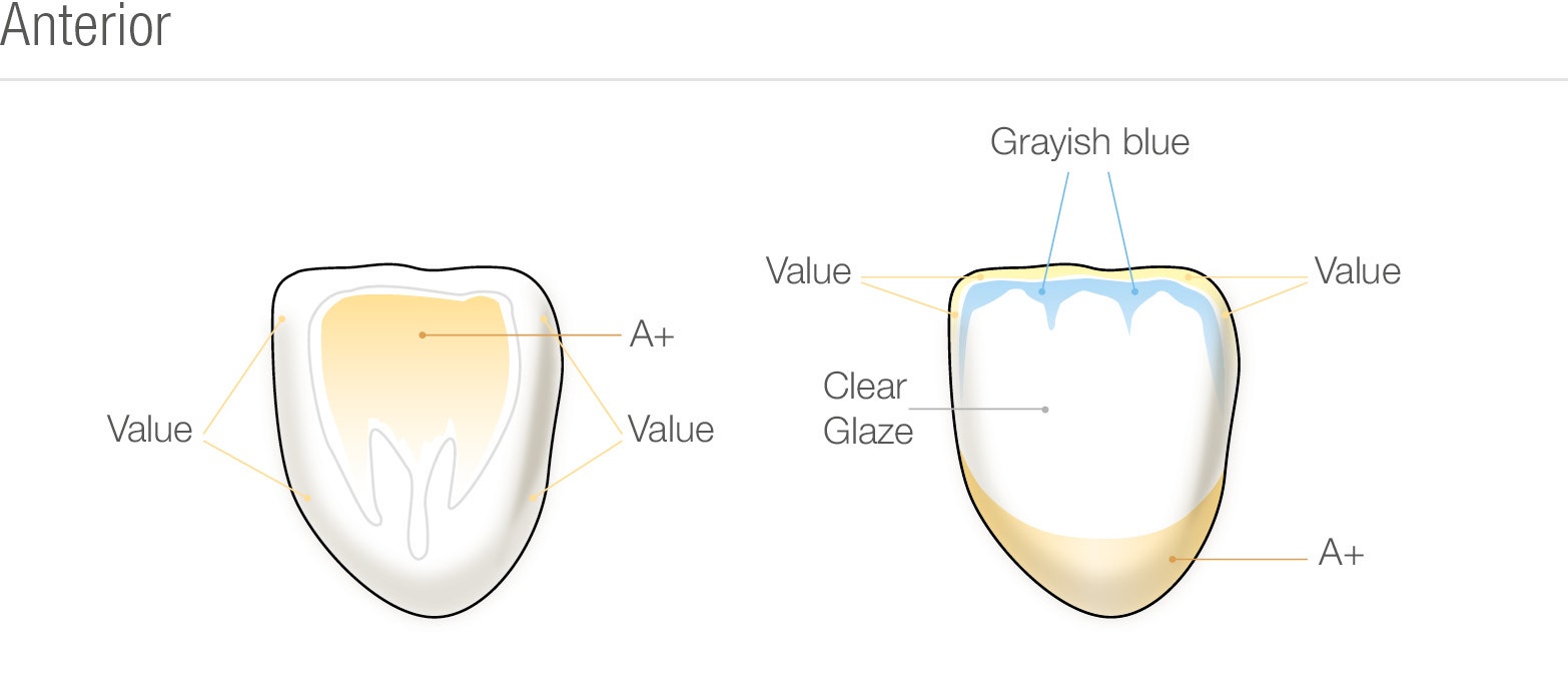 Slika prednje regije