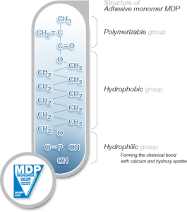 Monomère MDP molécule