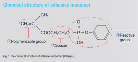 monomère MDP original Kuraray